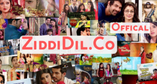 Desi Serial Ziddi Dil Watch Episodes Today Video In High Quality